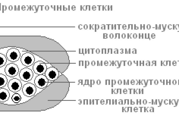 Kraken актуальный сайт