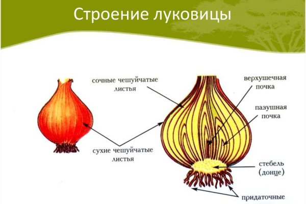 Мега зеркала тор онион мориарти кракен