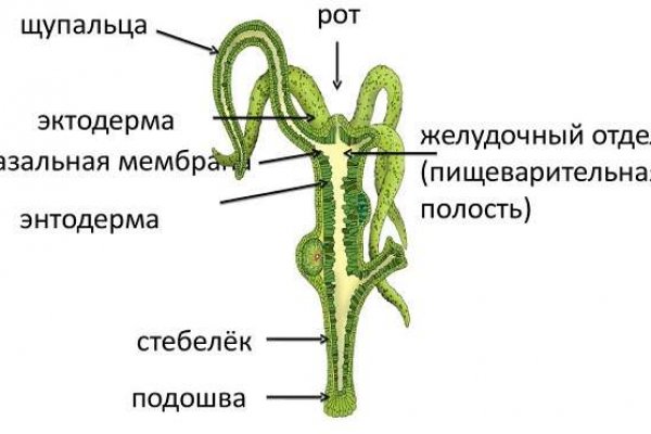 Браузер кракен