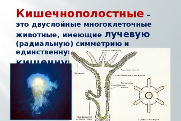 Кракен даркнет зеркало